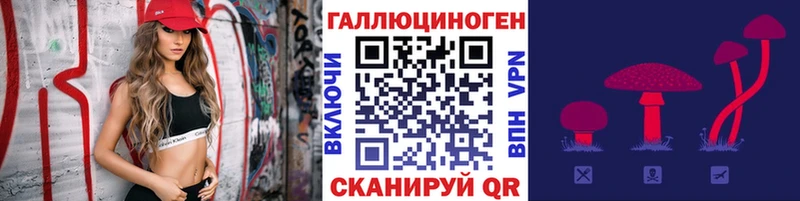 Купить закладки Бугуруслан Псилоцибиновые грибы MAGIC MUSHROOMS
